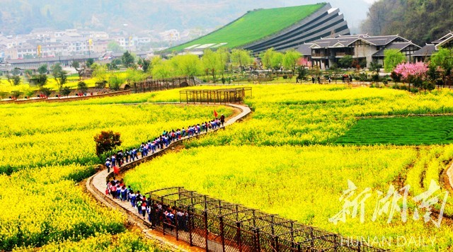 1525920254168942.jpg 1.jpg