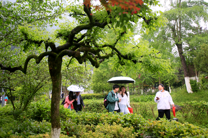 打卡黃龍洞！初夏雨后，清新綠意太治愈